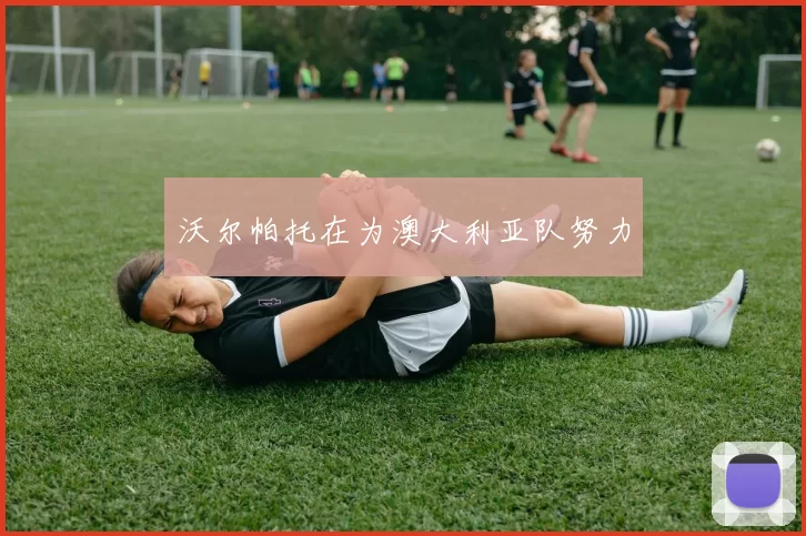 沃尔帕托在为澳大利亚队努力