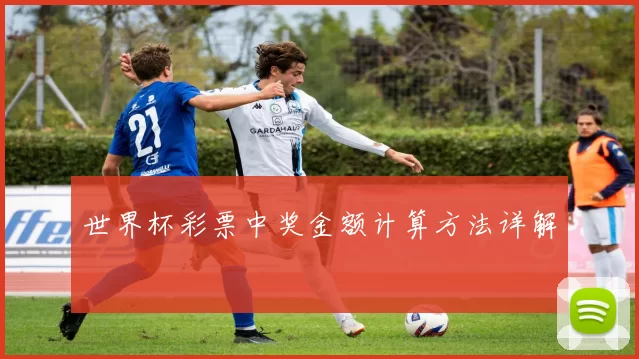 世界杯彩票中奖金额计算方法详解