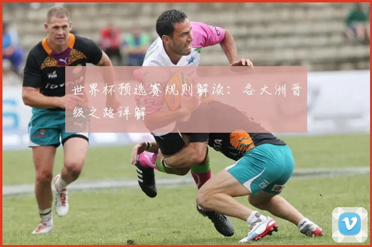 世界杯预选赛规则解读:各大洲晋级之路详解