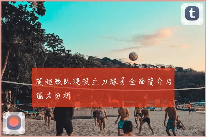 英超狼队现役主力球员全面简介与能力分析