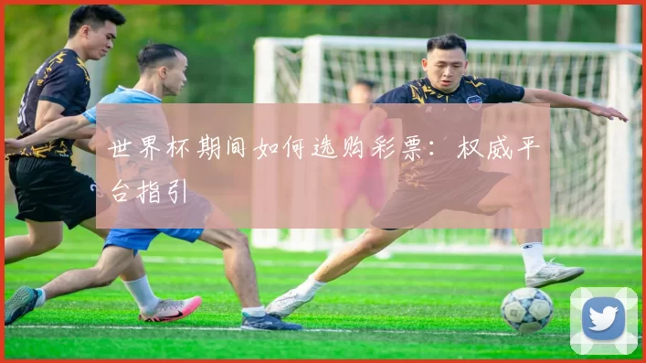 世界杯期间如何选购彩票：权威平台指引