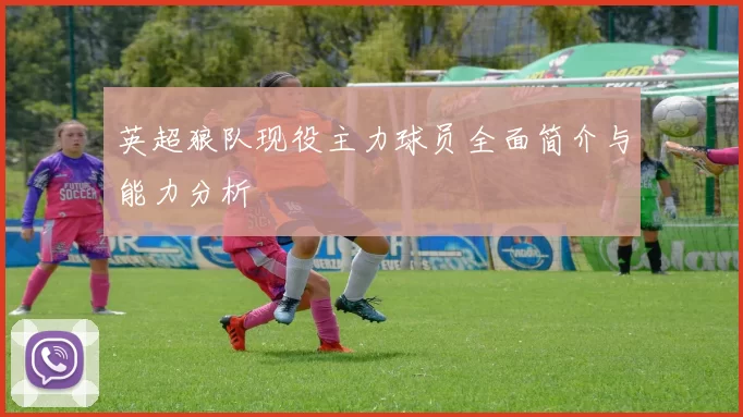 英超狼队现役主力球员全面简介与能力分析