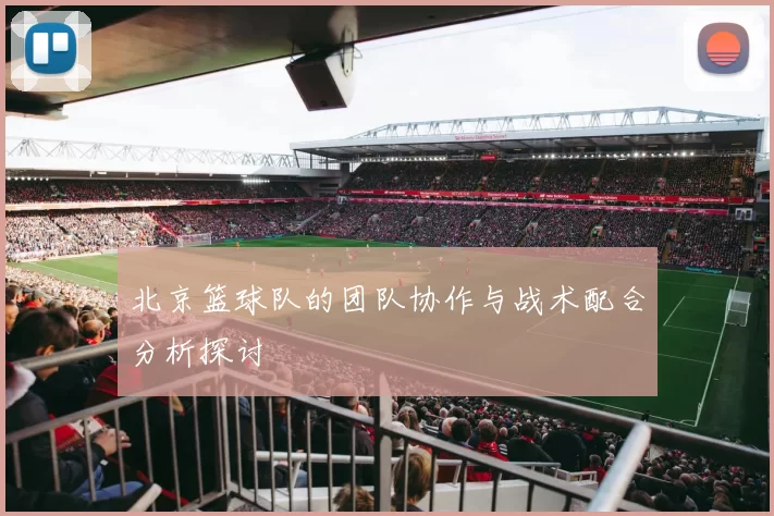 北京篮球队的团队协作与战术配合分析探讨