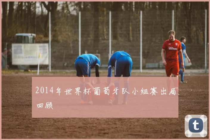 2014年世界杯葡萄牙队小组赛出局回顾