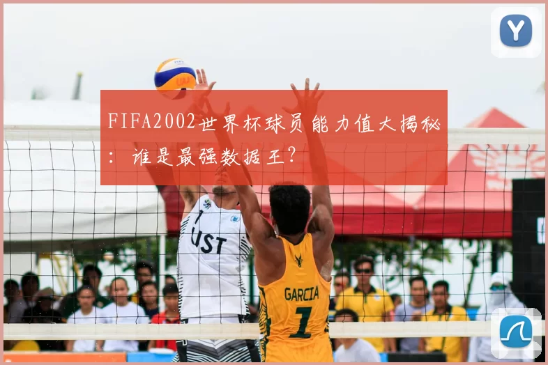 FIFA2002世界杯球员能力值大揭秘：谁是最强数据王？