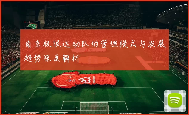 南京极限运动队的管理模式与发展趋势深度解析