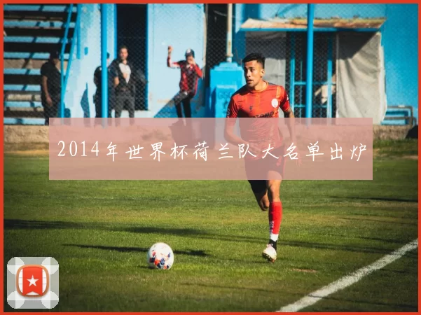 2014年世界杯荷兰队大名单出炉
