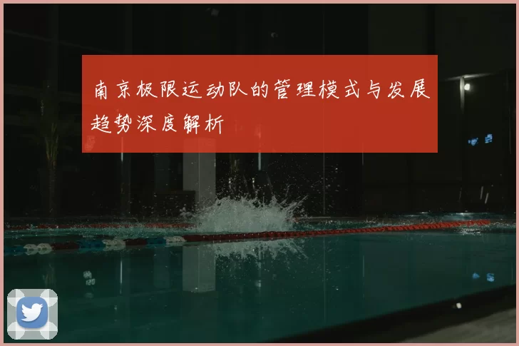 南京极限运动队的管理模式与发展趋势深度解析