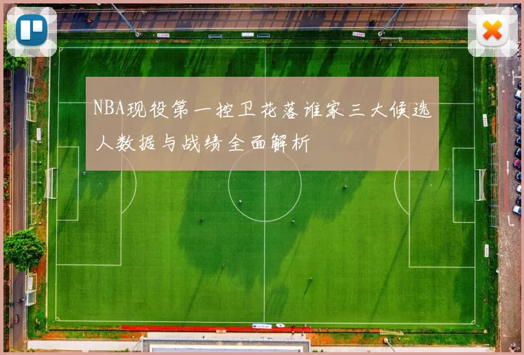 NBA现役第一控卫花落谁家三大候选人数据与战绩全面解析
