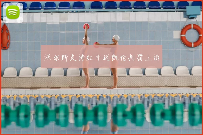 沃尔斯支持红牛迈凯伦判罚上诉