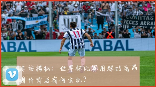 专访揭秘：世界杯比赛用球的高昂身价背后有何玄机？