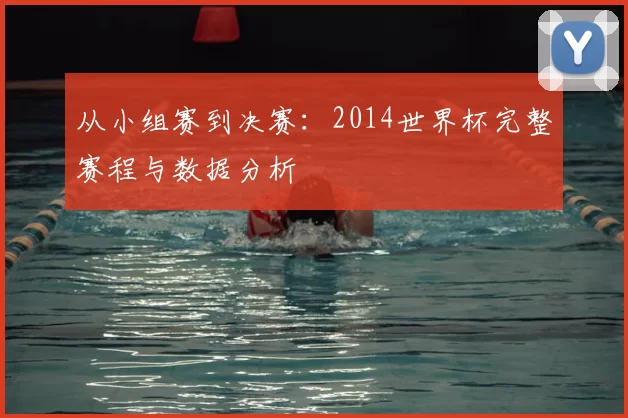 从小组赛到决赛：2014世界杯完整赛程与数据分析