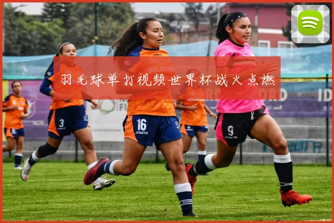 羽毛球单打视频世界杯战火点燃